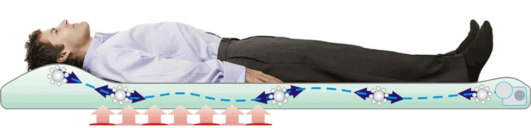 Manufacturer cutaway illustration showing rollers inside the Mobiliser beneath a reclining person.