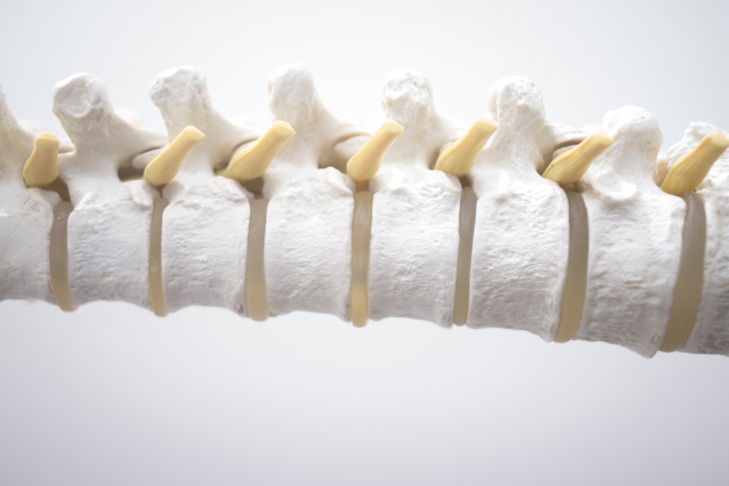 lower back pain - lumbar facet joints