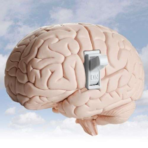 Read more about the article Wellington Vertigo & Dizziness Relief: Vestibular Physio